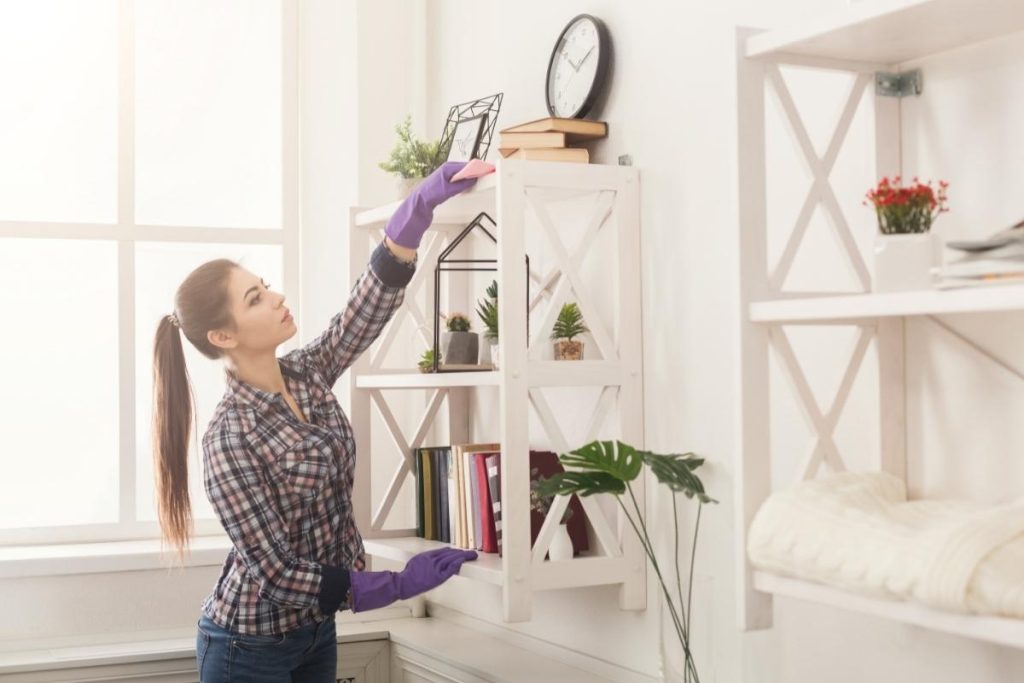 House Cleaning Services In My Area
