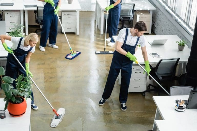 Professional Cleaning Services Near Me